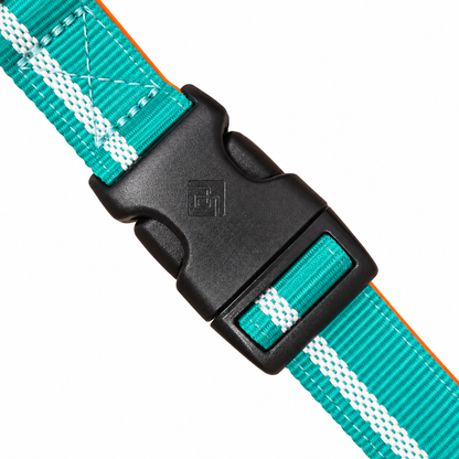 CAIRD Journey Light Adjustable Dog Collar Reflective Nylon Padded Neoprene (Aqua & Orange)
