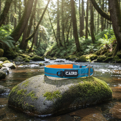 CAIRD Journey Light Adjustable Dog Collar Reflective Nylon Padded Neoprene (Aqua & Orange)