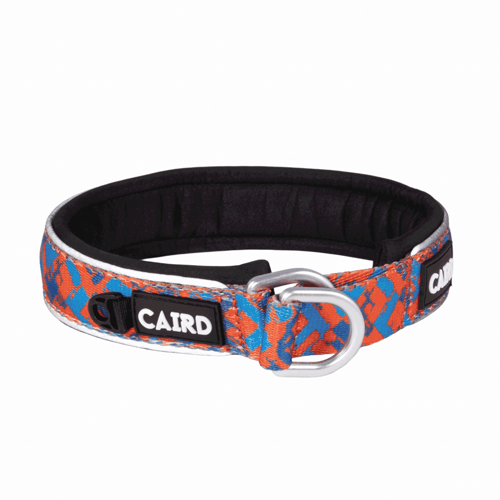 CAIRD Training Slip Dog Collar Reflective with Aluminium D-Ring Nylon Padded Neoprene No-Choke