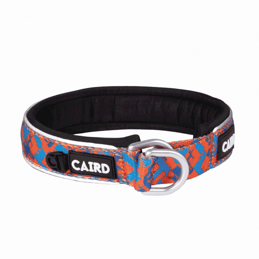 CAIRD Training Slip Dog Collar Reflective with Aluminium D-Ring Nylon Padded Neoprene No-Choke