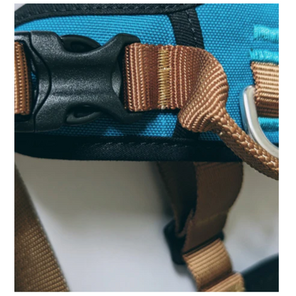 CAIRD Elevate Adjustable Dog Harness 5-Point No Pull Harness with Reflective Trim Front & Back Lead Clips