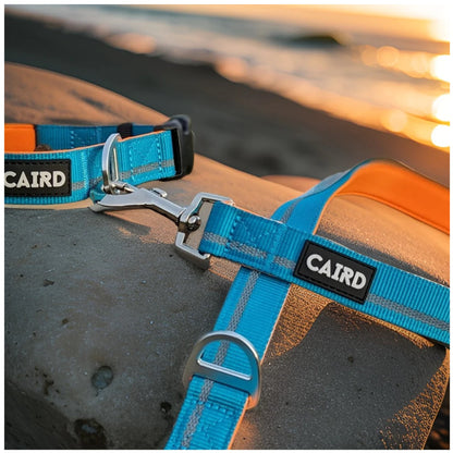 CAIRD Dog Lead 1m Reflective Neoprene Padded Handle Aluminium Connection Point (Blue & Orange)