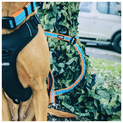 CAIRD Bungee Hands Free Dog Lead Adjustable Waist Belt Aluminium Locking Carabiner