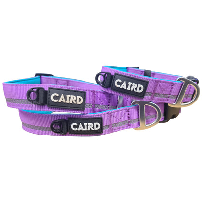 CAIRD Journey Light Adjustable Dog Collar Reflective Nylon Padded Neoprene (Purple)