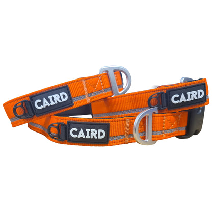CAIRD Journey Light Adjustable Dog Collar Reflective Nylon Padded Neoprene (Orange)