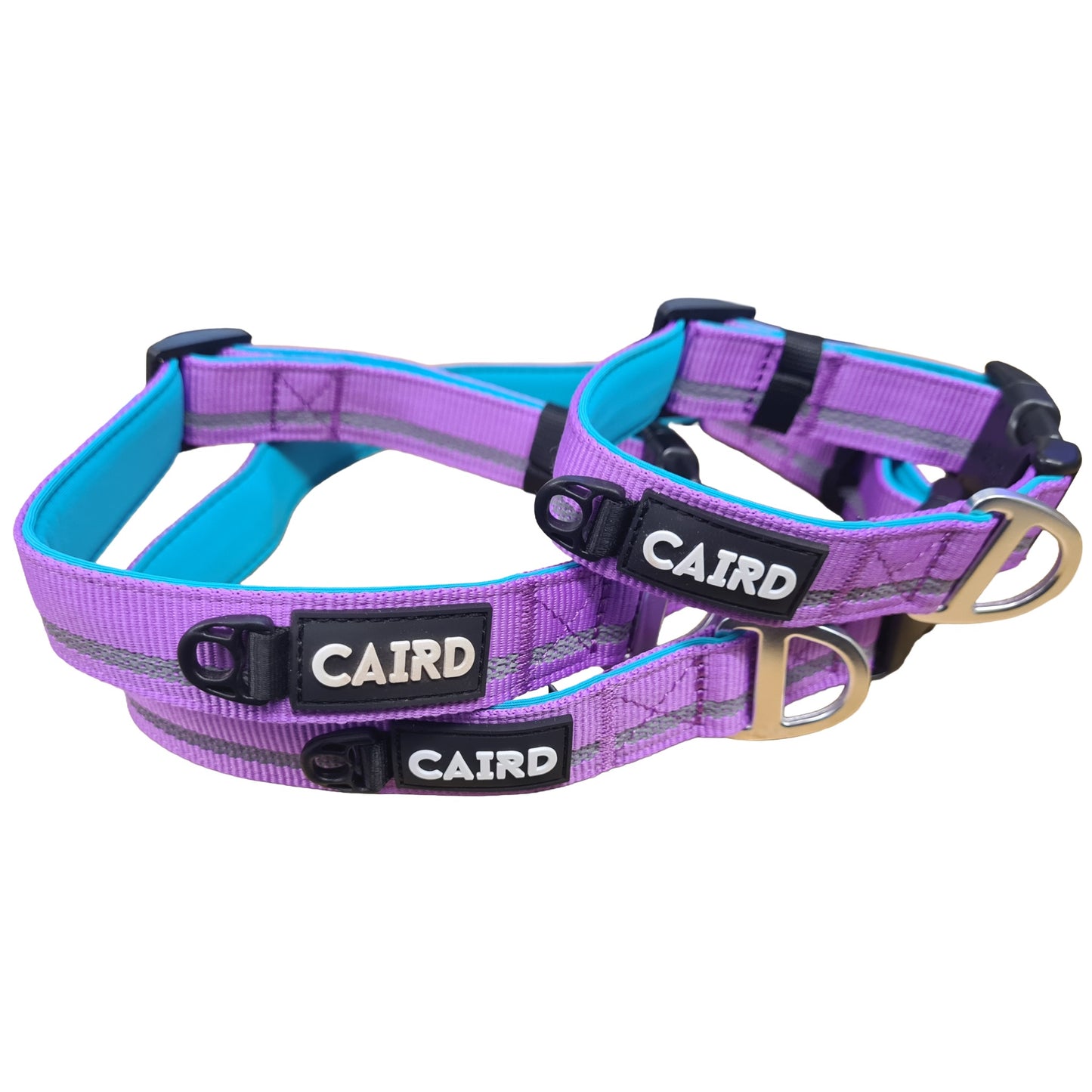 CAIRD Journey Light Adjustable Dog Collar Reflective Nylon Padded Neoprene (Purple)