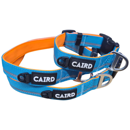 CAIRD Journey Light Adjustable Dog Collar Reflective Nylon Padded Neoprene (Aqua & Orange)