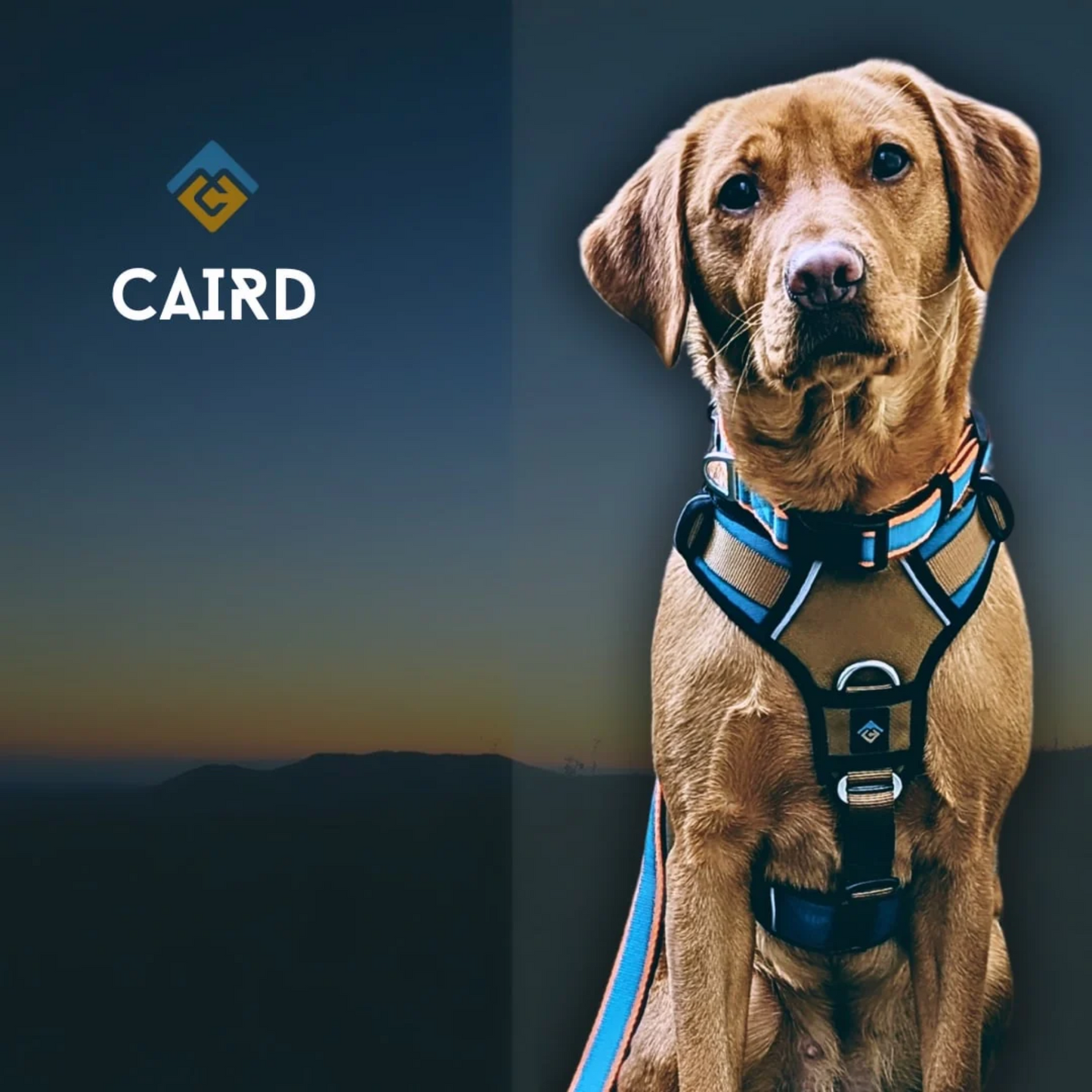 CAIRD Elevate Adjustable Dog Harness 5-Point No Pull Harness with Reflective Trim Front & Back Lead Clips