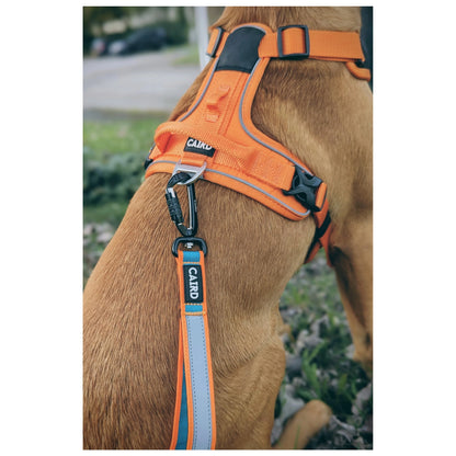 CAIRD Bungee Hands Free Dog Lead Adjustable Waist Belt Aluminium Locking Carabiner