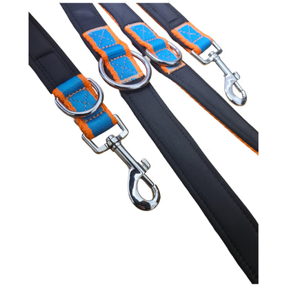 CAIRD Double Ended Dog Training Lead 2m Adjustable Multi-Point Control (Orange & Blue)