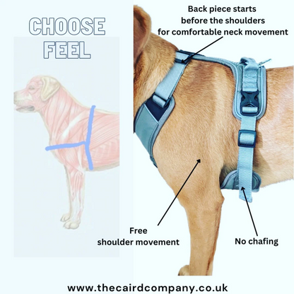 CAIRD Elevate Adjustable Dog Harness 5-Point No Pull Harness with Reflective Trim Front & Back Lead Clips