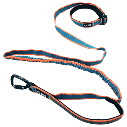 CAIRD Bungee Hands Free Dog Lead Adjustable Waist Belt Aluminium Locking Carabiner