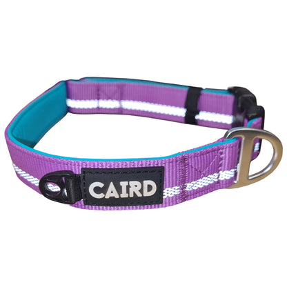 CAIRD Journey Light Adjustable Dog Collar Reflective Nylon Padded Neoprene (Purple)