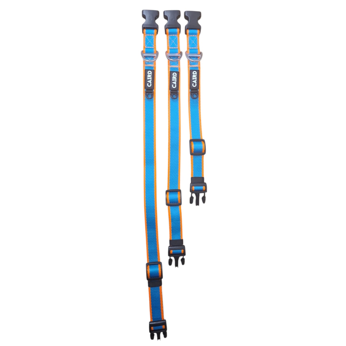 CAIRD Journey Light Dog Collar Nylon Padded Neoprene (Aqua & Orange)