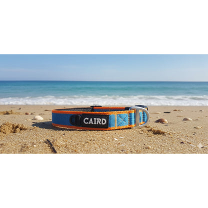 CAIRD Journey Light Dog Collar Nylon Padded Neoprene (Aqua & Orange)