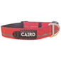 CAIRD Journey Light Adjustable Dog Collar Reflective Nylon Padded Neoprene (Red)