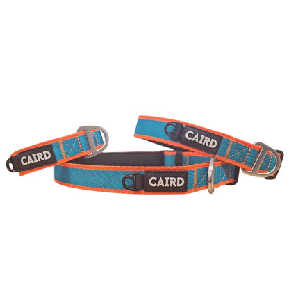 CAIRD Journey Light Dog Collar Nylon Padded Neoprene (Aqua & Orange)