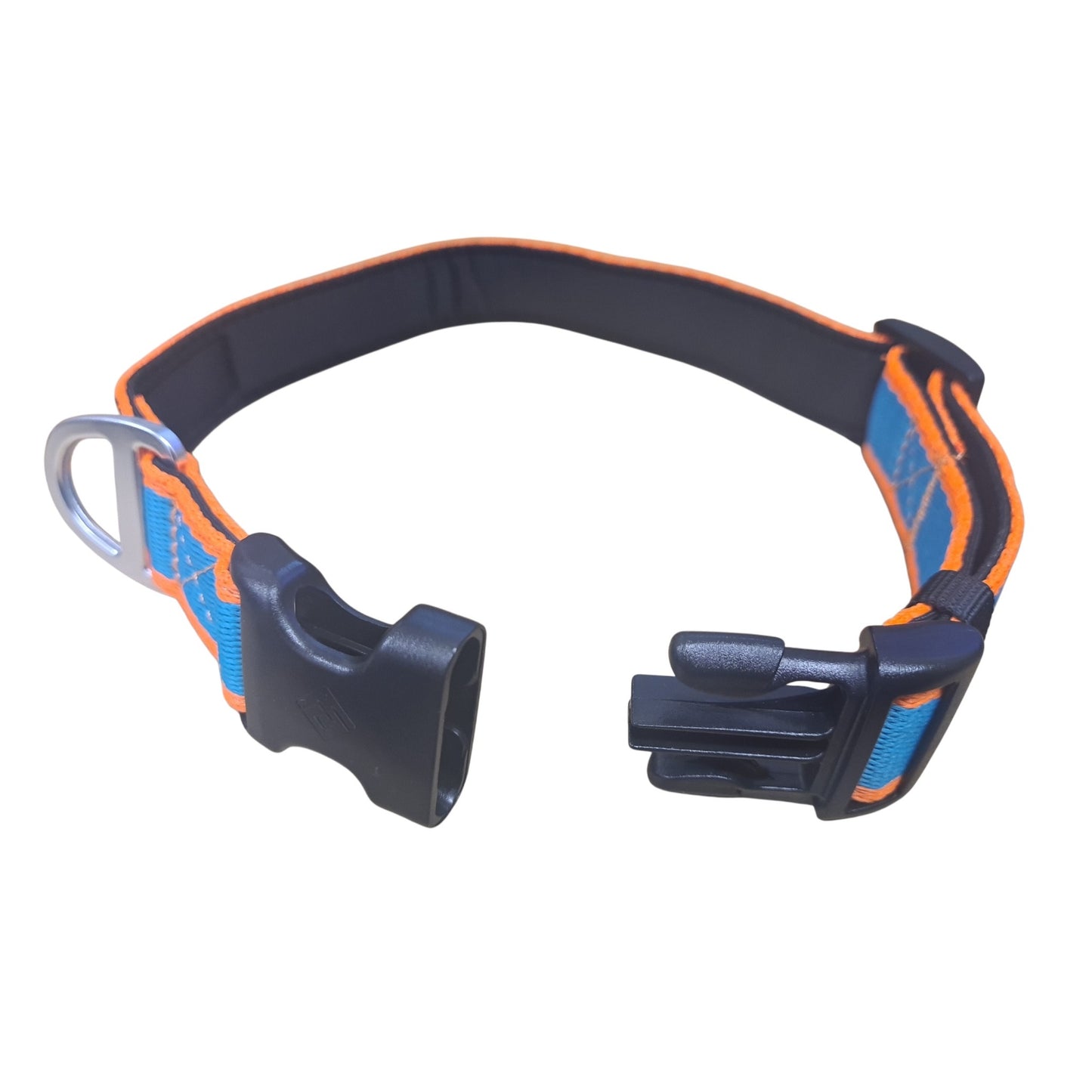 CAIRD Journey Light Dog Collar Nylon Padded Neoprene (Aqua & Orange)