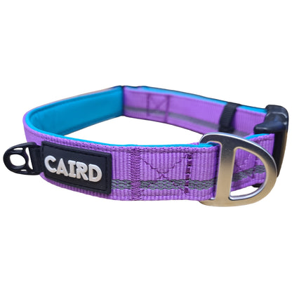 CAIRD Journey Light Adjustable Dog Collar Reflective Nylon Padded Neoprene (Purple)