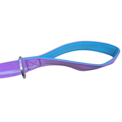 CAIRD Dog Lead 1m Reflective Neoprene Padded Handle Aluminium Connection Point (Purple & Aqua)