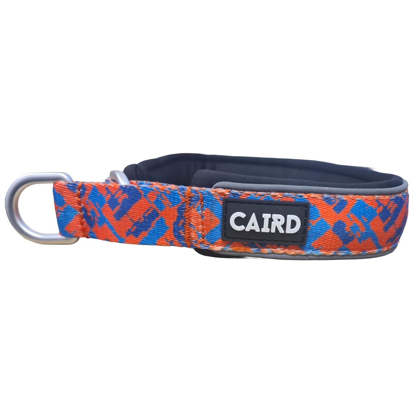 CAIRD Training Slip Dog Collar Reflective with Aluminium D-Ring Nylon Padded Neoprene No-Choke