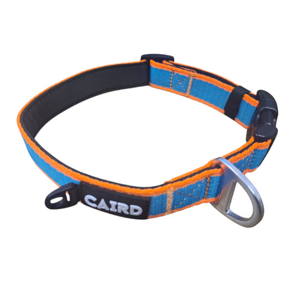 CAIRD Journey Light Dog Collar Nylon Padded Neoprene (Aqua & Orange)