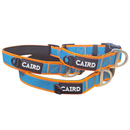 CAIRD Journey Light Dog Collar Nylon Padded Neoprene (Aqua & Orange)