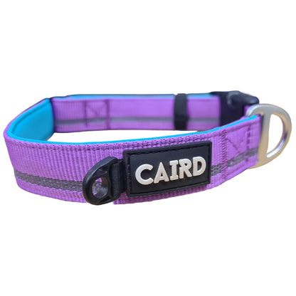 CAIRD Journey Light Adjustable Dog Collar Reflective Nylon Padded Neoprene (Purple)