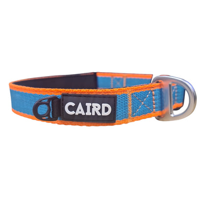 CAIRD Journey Light Dog Collar Nylon Padded Neoprene (Aqua & Orange)