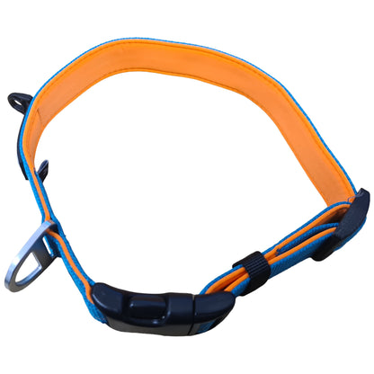 CAIRD Journey Light Adjustable Dog Collar Reflective Nylon Padded Neoprene (Aqua & Orange)