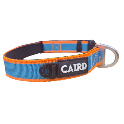 CAIRD Journey Light Dog Collar Nylon Padded Neoprene (Aqua & Orange)