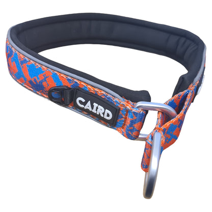 CAIRD Training Slip Dog Collar Reflective with Aluminium D-Ring Nylon Padded Neoprene No-Choke