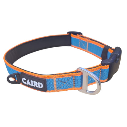 CAIRD Journey Light Dog Collar Nylon Padded Neoprene (Aqua & Orange)