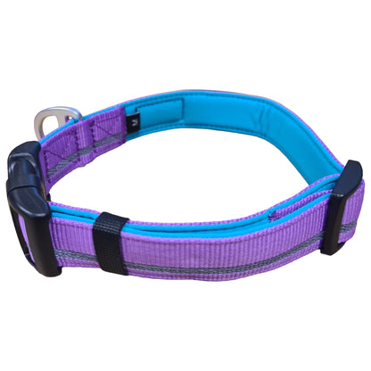 CAIRD Journey Light Adjustable Dog Collar Reflective Nylon Padded Neoprene (Purple)