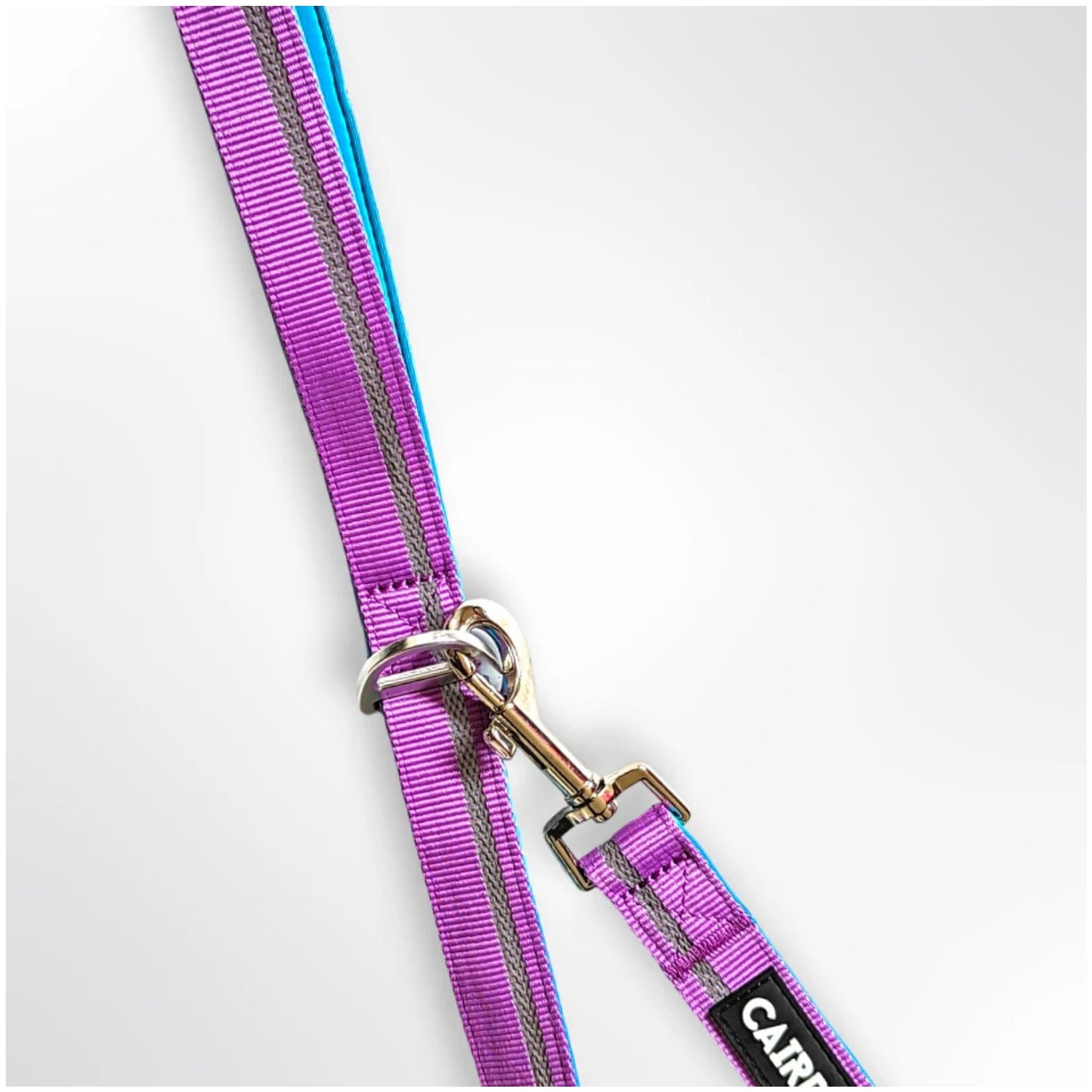 CAIRD Dog Lead 1m Reflective Neoprene Padded Handle Aluminium Connection Point (Purple & Aqua)