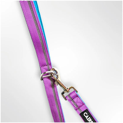 CAIRD Dog Lead 1m Reflective Neoprene Padded Handle Aluminium Connection Point (Purple & Aqua)