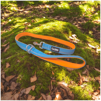 CAIRD Dog Lead 1m Reflective Neoprene Padded Handle Aluminium Connection Point (Blue & Orange)