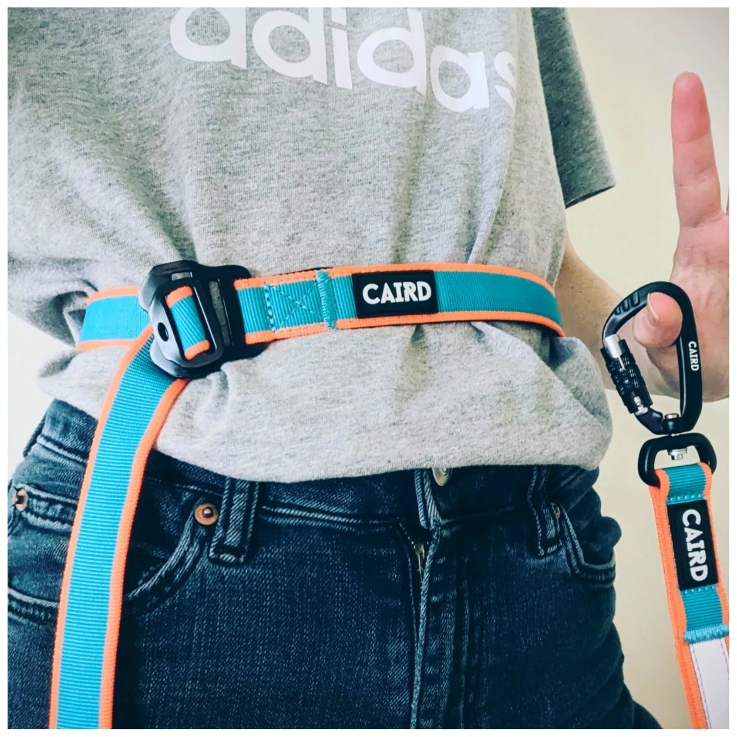 CAIRD Bungee Hands Free Dog Lead Adjustable Waist Belt Aluminium Locking Carabiner