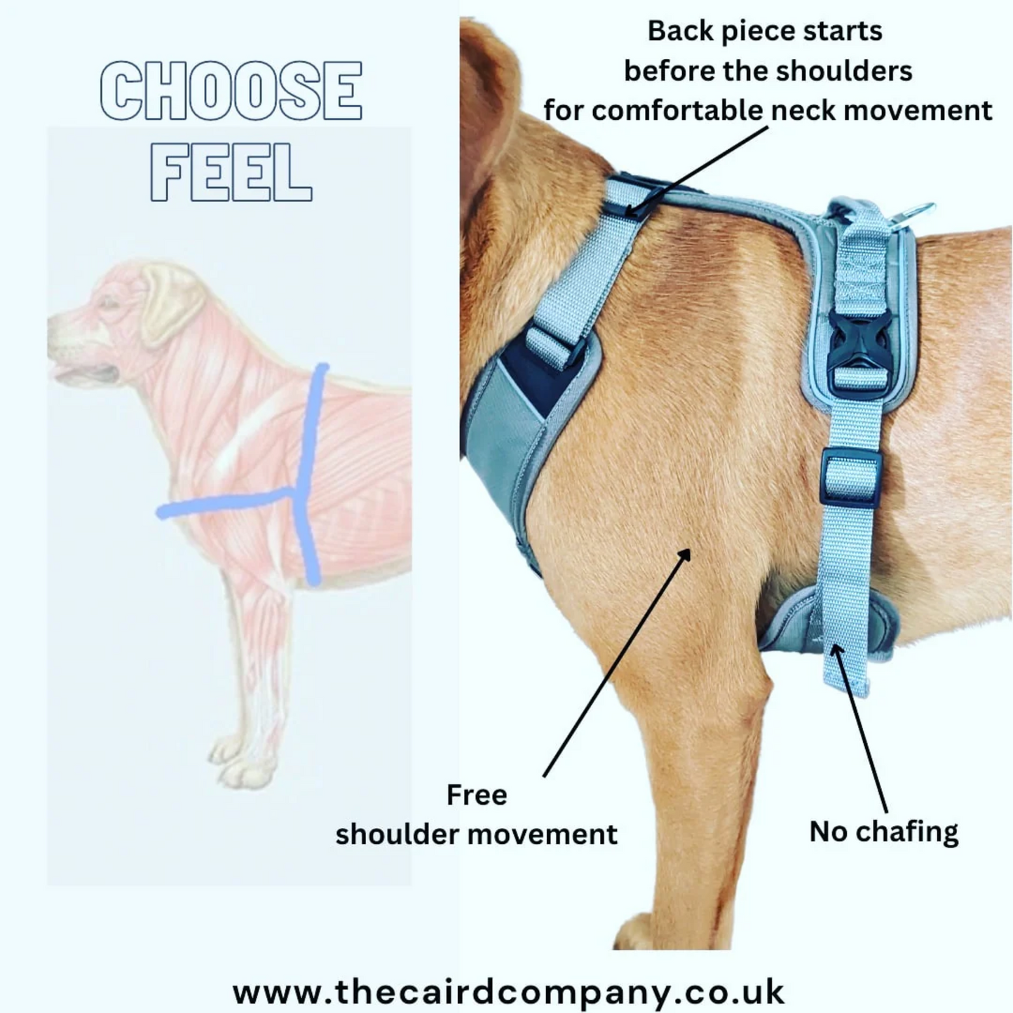 CAIRD Advance Dog Harness Ergonomic Y-Shape No Pull Reflective with Handle Orange